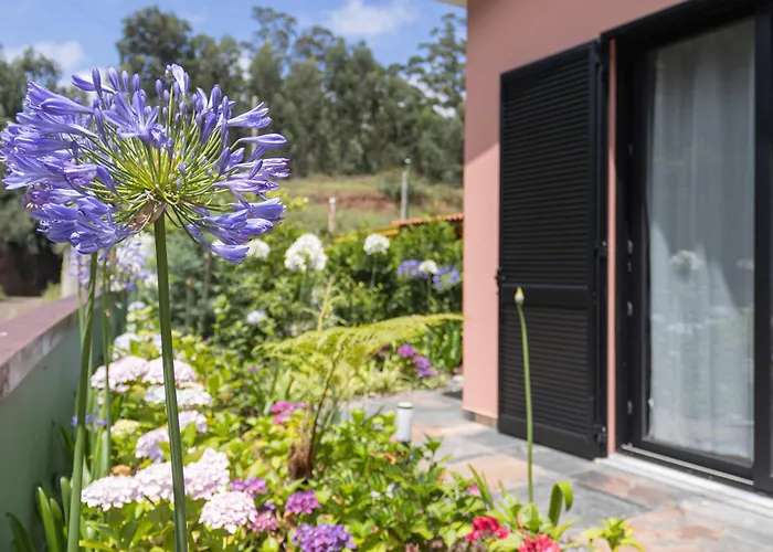 Casa Requinte - Jacuzzi Arco da Calheta (Madeira)